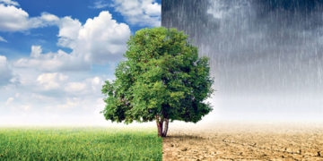 Moti për ditën e sotme