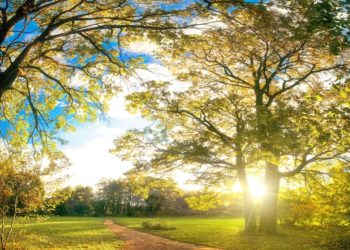 Moti për dy ditët e vikendit