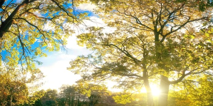 Moti për dy ditët e vikendit