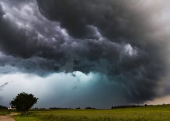 Moti për ditën e sotme