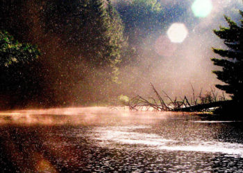 Moti për ditën e sotme