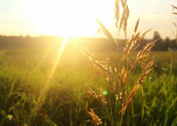 Moti për dy ditët e vikendit