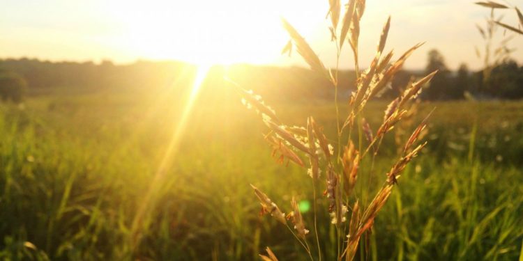 Moti për dy ditët e vikendit