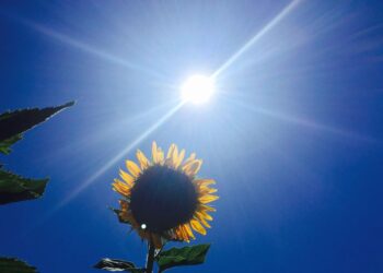 Moti nesër dhe ditëve në vazhdim! (28.07.2020.) E Martë