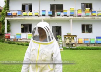 Shtëpia e familjes Vërbovci në Prishtinë e mbushur me koshere bletësh