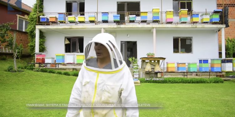 Shtëpia e familjes Vërbovci në Prishtinë e mbushur me koshere bletësh