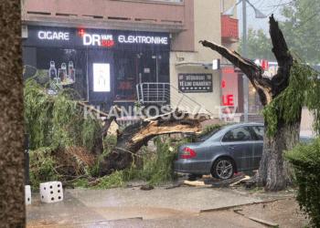 Era e fuqishme dhe shiu i rrembyeshem rrëzojnë lisin në sheshin e Prishtinës (FOTO)