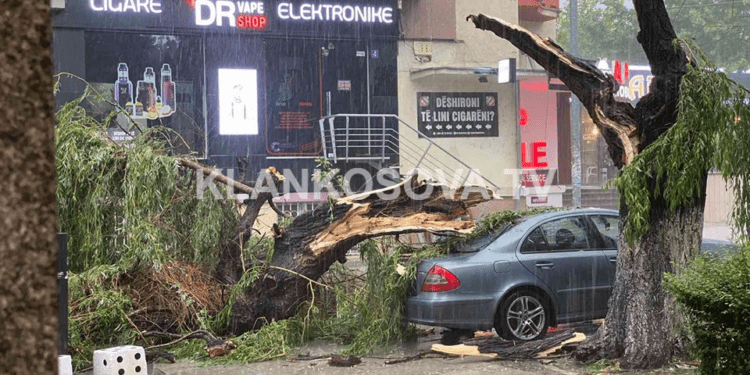 Era e fuqishme dhe shiu i rrembyeshem rrëzojnë lisin në sheshin e Prishtinës (FOTO)
