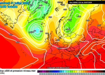 Moti javor, mesjavë shumë e nxehtë!