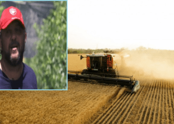 Historia e fermerit që nuk e dinte se kur mbillet gruri