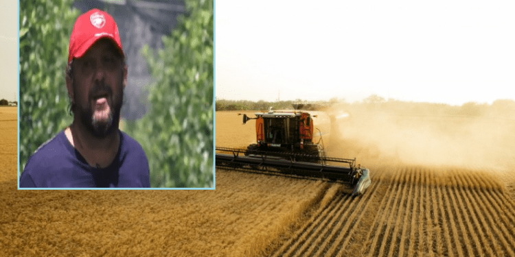 Historia e fermerit që nuk e dinte se kur mbillet gruri