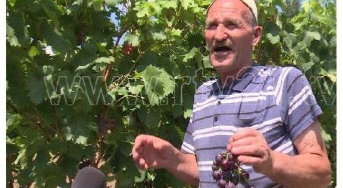 Rrush me bollëk por pak blerës në Rahovec