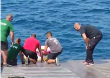 Vajzën 3-vjeçare në Greqi e merr era në det të hapur, shpëtohet mrekullisht nga një traget