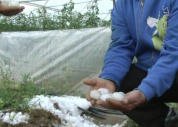 Pamje nga Elbasani/ Fundi i gushtit, reshje të dendura shiu dhe breshër