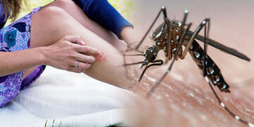 “Vërshimi” i mushkonjave në Prishtinë, Shpend Ahmeti del me një njoftim të rëndësishëm