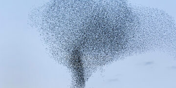 Nuk është tornado: Shikoni me kujdes xhirimin!