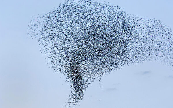 Nuk është tornado: Shikoni me kujdes xhirimin!
