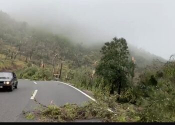 Tornado shkatërron një zonë të Majorkës në Spanjë, qindra drunj përtokë