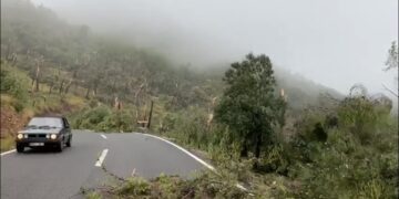 Tornado shkatërron një zonë të Majorkës në Spanjë, qindra drunj përtokë
