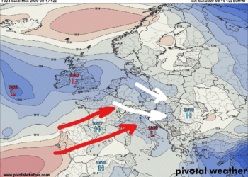 Moti javor, (17 Gusht 2020)