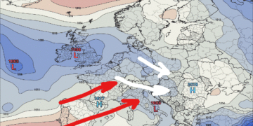 Moti javor, (17 Gusht 2020)