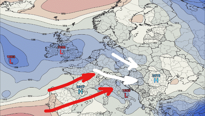 Moti javor, (17 Gusht 2020)