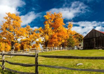 Zyrtarisht jemi në vjeshtë!