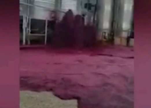 “Cunami” me verë të kuqe