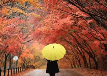 Nesër na vjen vjeshta astronomike