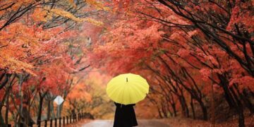 Nesër na vjen vjeshta astronomike