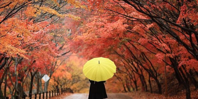 Nesër na vjen vjeshta astronomike