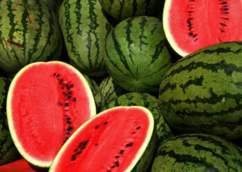 ‘Merakli të shalqirit’, kosovarët konsumuan mbi 20 milionë kilogramë për 3 muaj