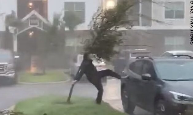 Skena si kjo mund të shihni vetëm një herë në jetë: Shikoni si e mbron dëmtimin e veturës nga stuhia kjo grua!