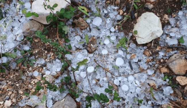 Çudirat e motit në Greqi, breshër sa një top ping-pongu në Konispol