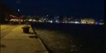Fenomen i çuditshëm në Selanik, peshqit hidhen nga deti në tokë