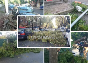 Pemë të shkulura dhe përmbytje, moti i lig shkakton dëme të mëdha në Shkodër