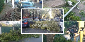 Pemë të shkulura dhe përmbytje, moti i lig shkakton dëme të mëdha në Shkodër
