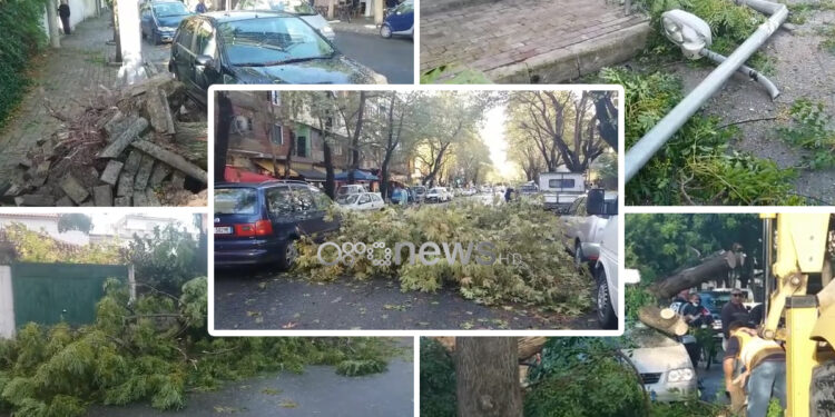 Pemë të shkulura dhe përmbytje, moti i lig shkakton dëme të mëdha në Shkodër
