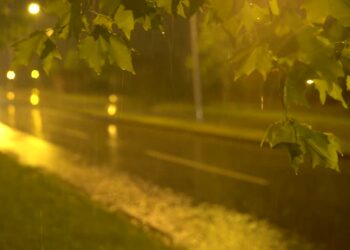 Sonte priten reshje shiu!