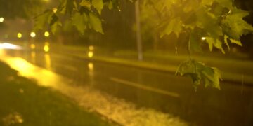 Sonte priten reshje shiu!