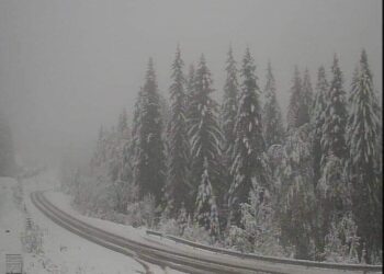 Bardhësi e pafund në malet e Bosnjës!