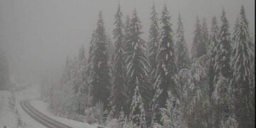 Bardhësi e pafund në malet e Bosnjës!