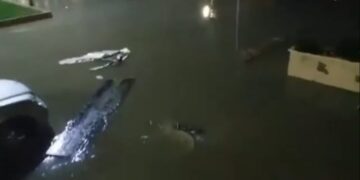 Përmbytje të mëdha në Durrës!