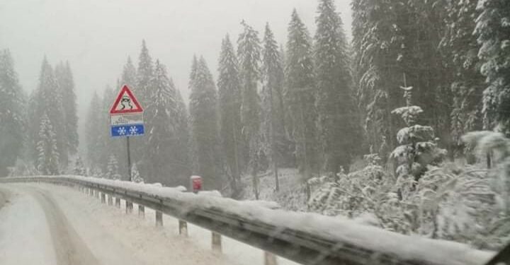 Pamje magjepsëse dimërore nga Trentino i Italisë!