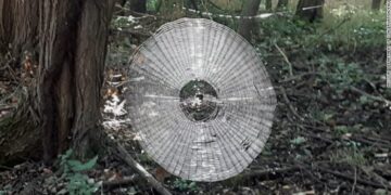 Merimanga e Misurit krijon një rrjetë mjaftueshëm të madhe sa për të kapur një njeri