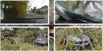 Pema gjigante papritmas bie mbi veturë, shoferi shpëton mrekullisht