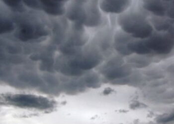 Moti për ditën e sotme