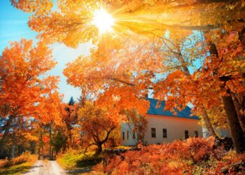 Arsyet se pse vjeshta është stina më e mirë e vitit