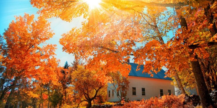 Arsyet se pse vjeshta është stina më e mirë e vitit