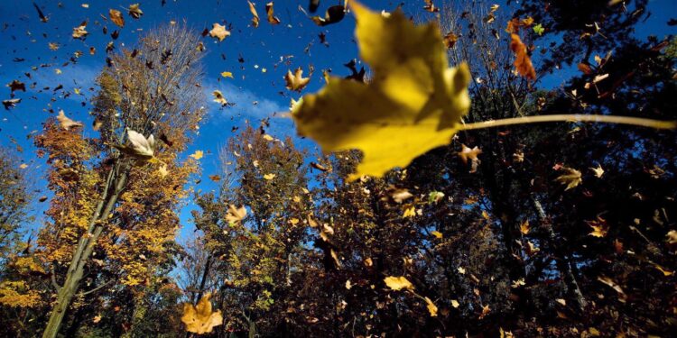 Si do të nisë tetori – moti për sot dhe ditët në vijim